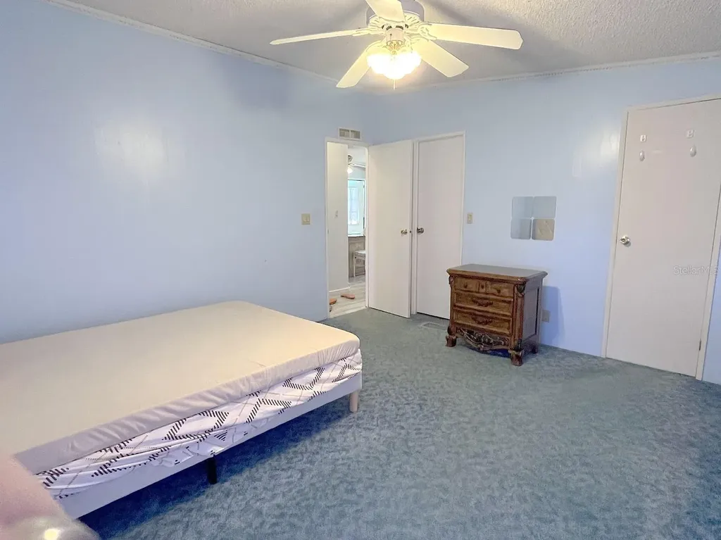 3135 Great Oak Street Wesley Chapel FL 33543