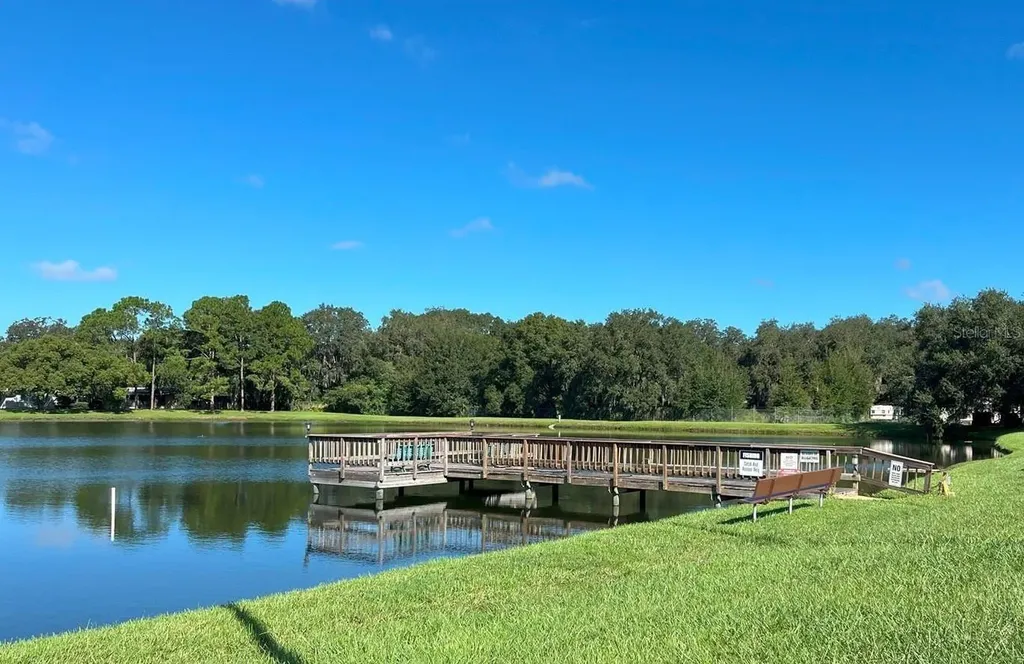 3135 Great Oak Street Wesley Chapel FL 33543