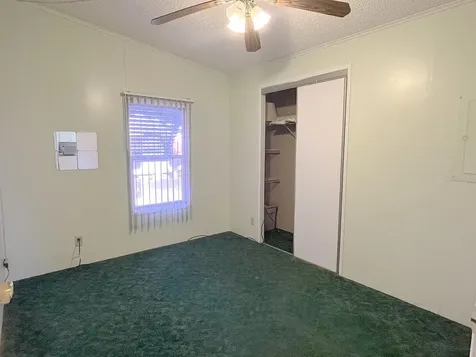 3135 Great Oak Street Wesley Chapel FL 33543