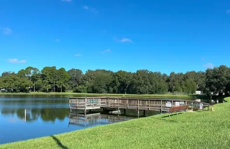 3135 Great Oak Street Wesley Chapel FL 33543
