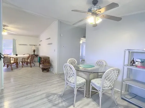 3135 Great Oak Street Wesley Chapel FL 33543