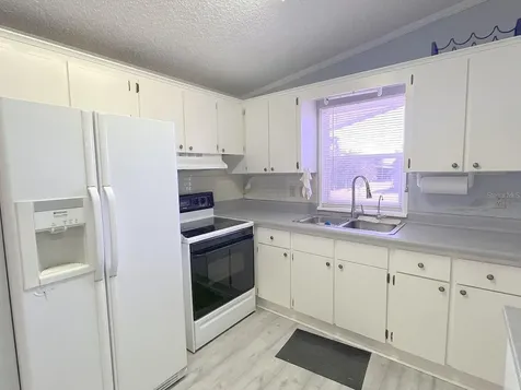 3135 Great Oak Street Wesley Chapel FL 33543