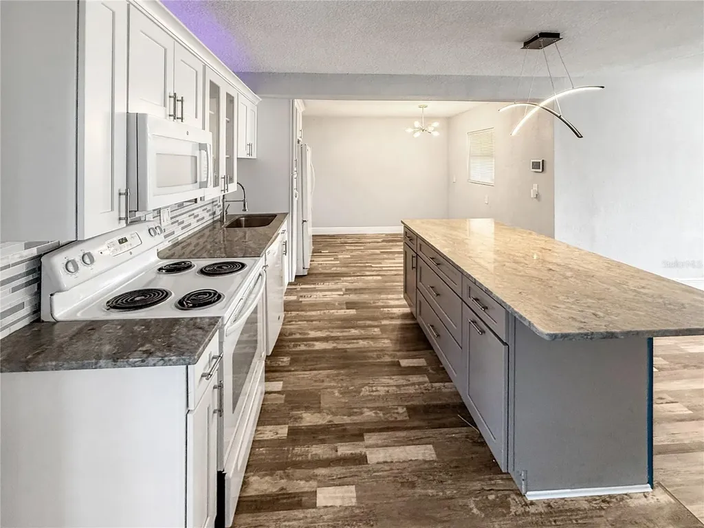 1303 E Muriel Street Orlando FL 32806