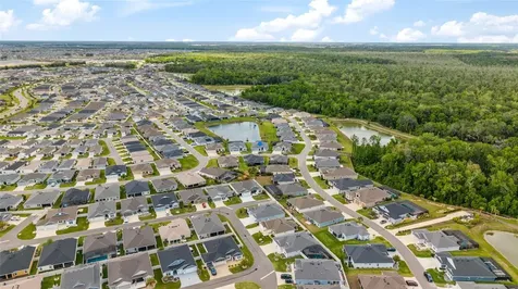 1694 Colleen Court The Villages FL 34762