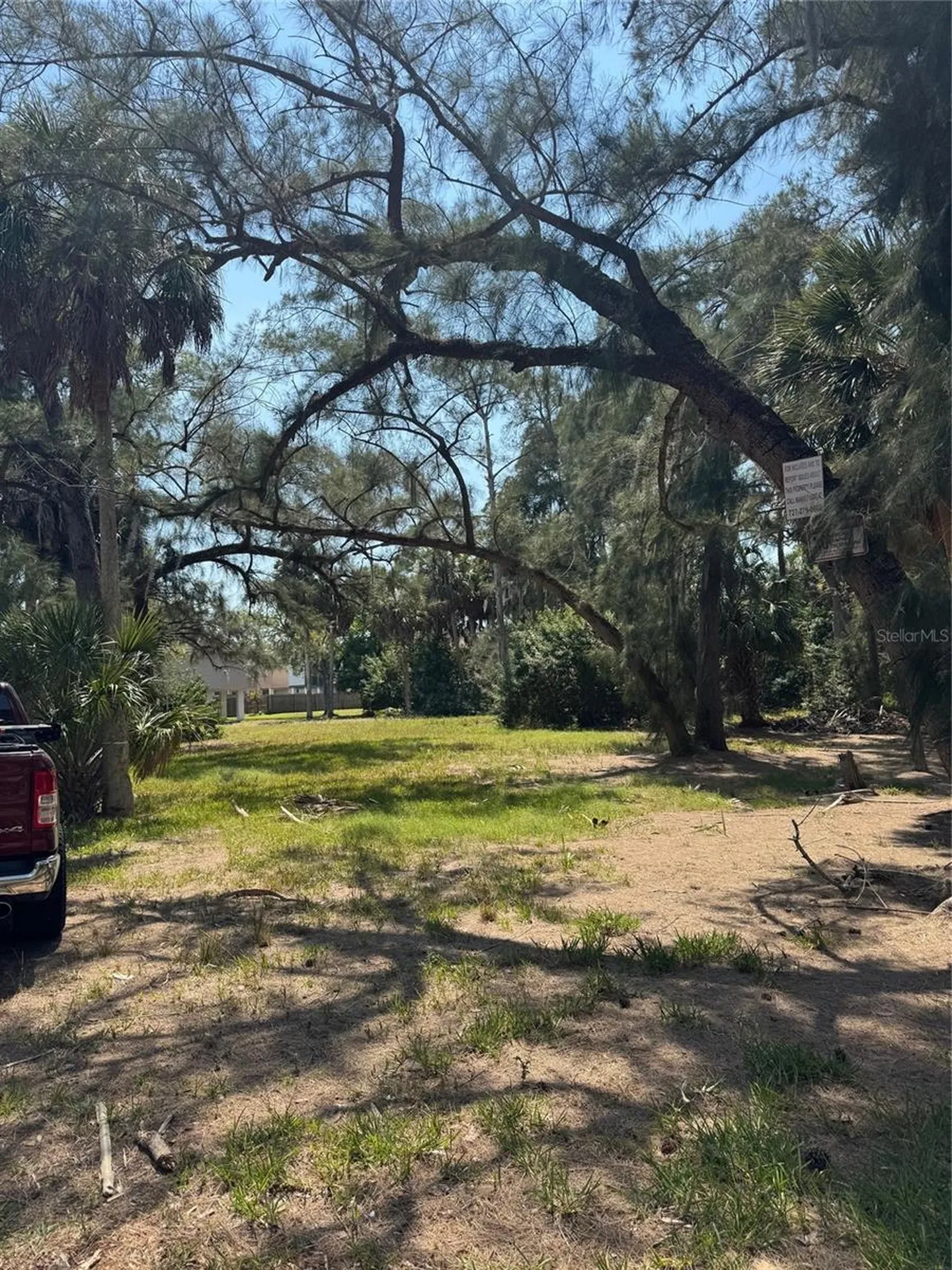 000 Oelsner Street New Port Richey FL 34652