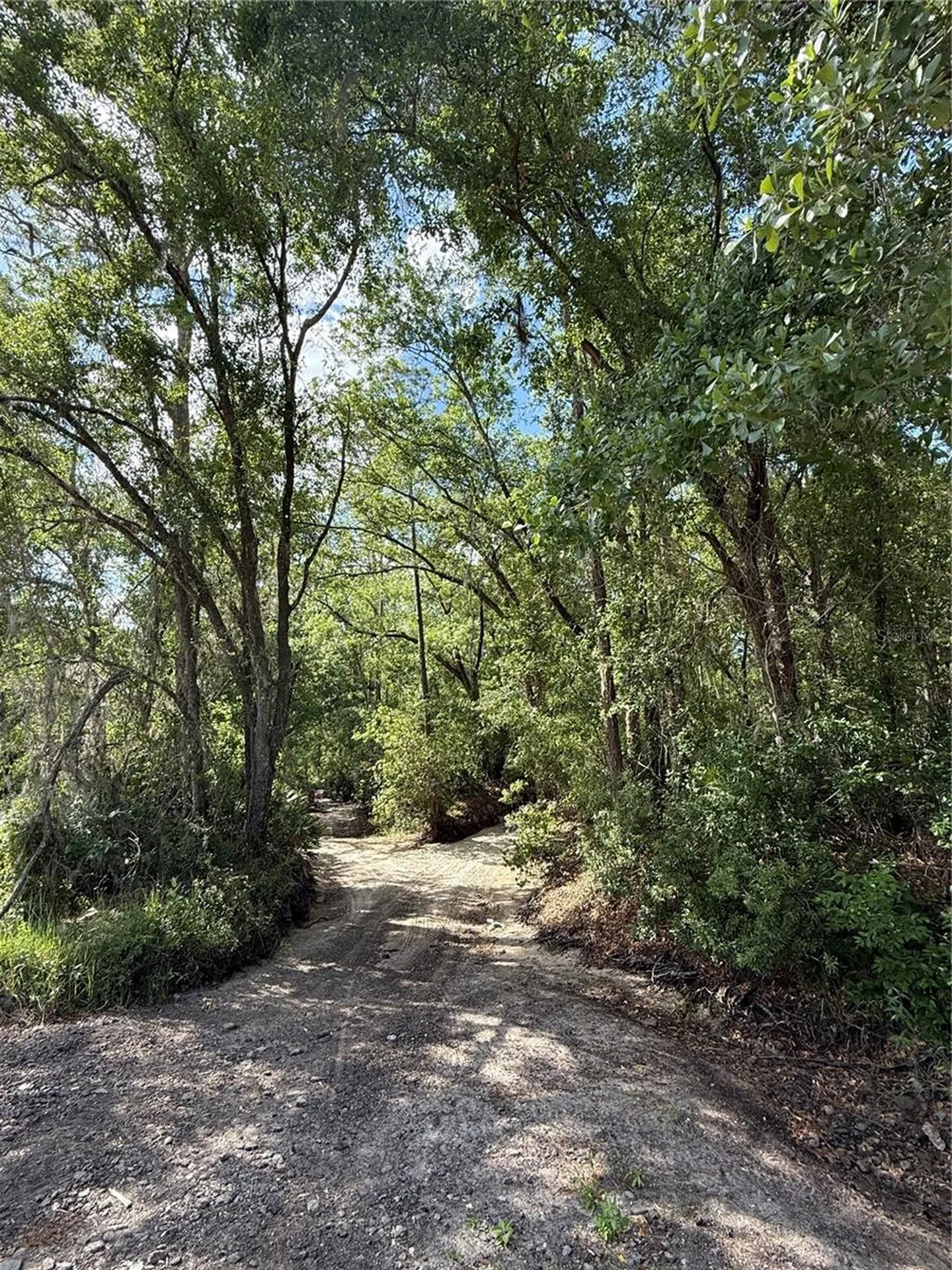 Creekwood Run Lakeland FL 33809