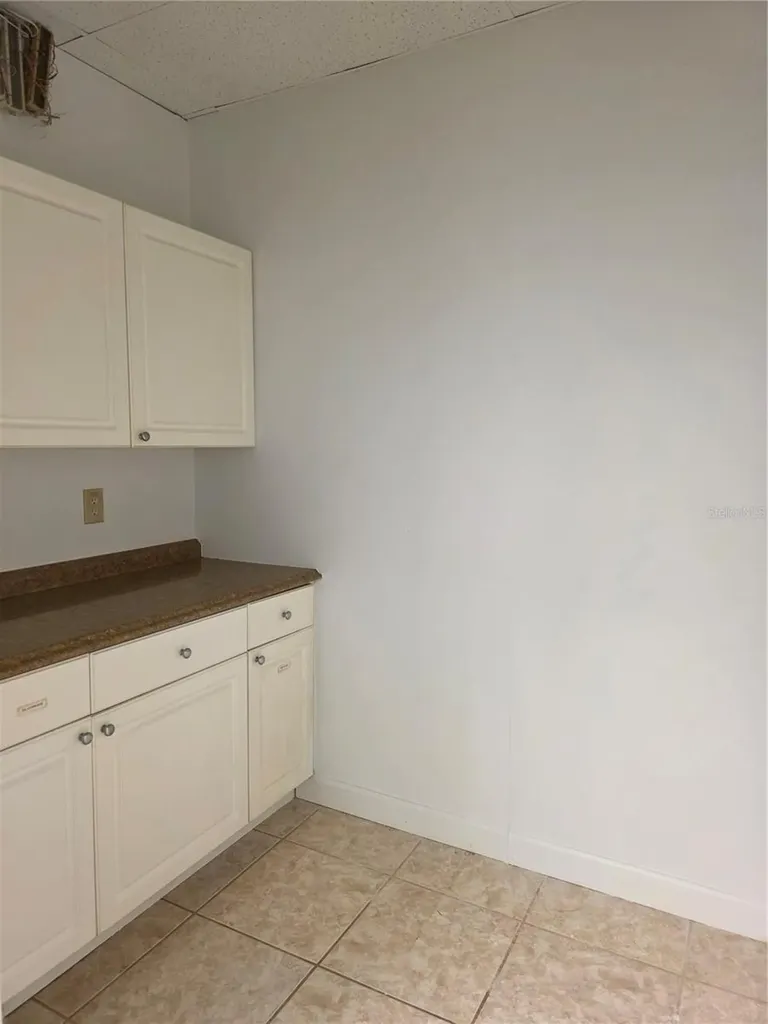 3946 Lake Padgett Drive Land O Lakes FL 34639