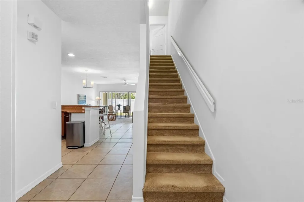 20470 Needletree Drive Tampa FL 33647