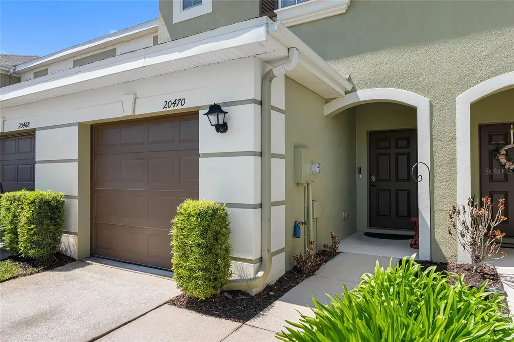 20470 Needletree Drive Tampa FL 33647