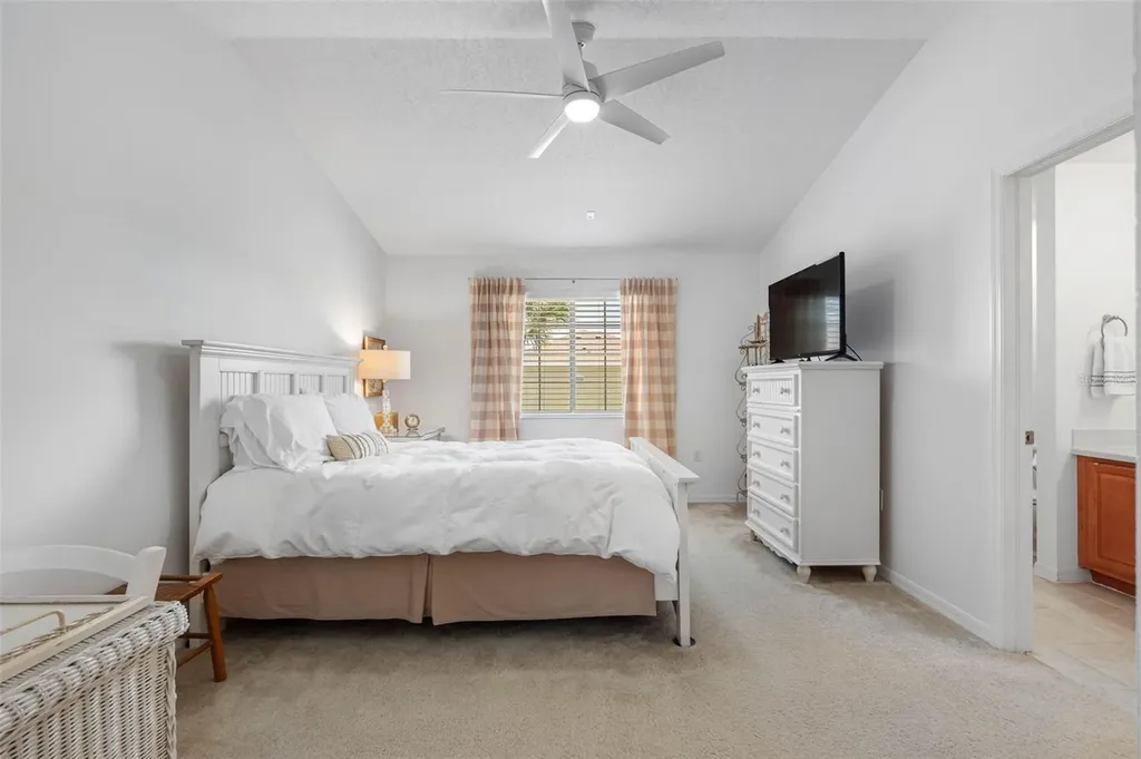 20470 Needletree Drive Tampa FL 33647