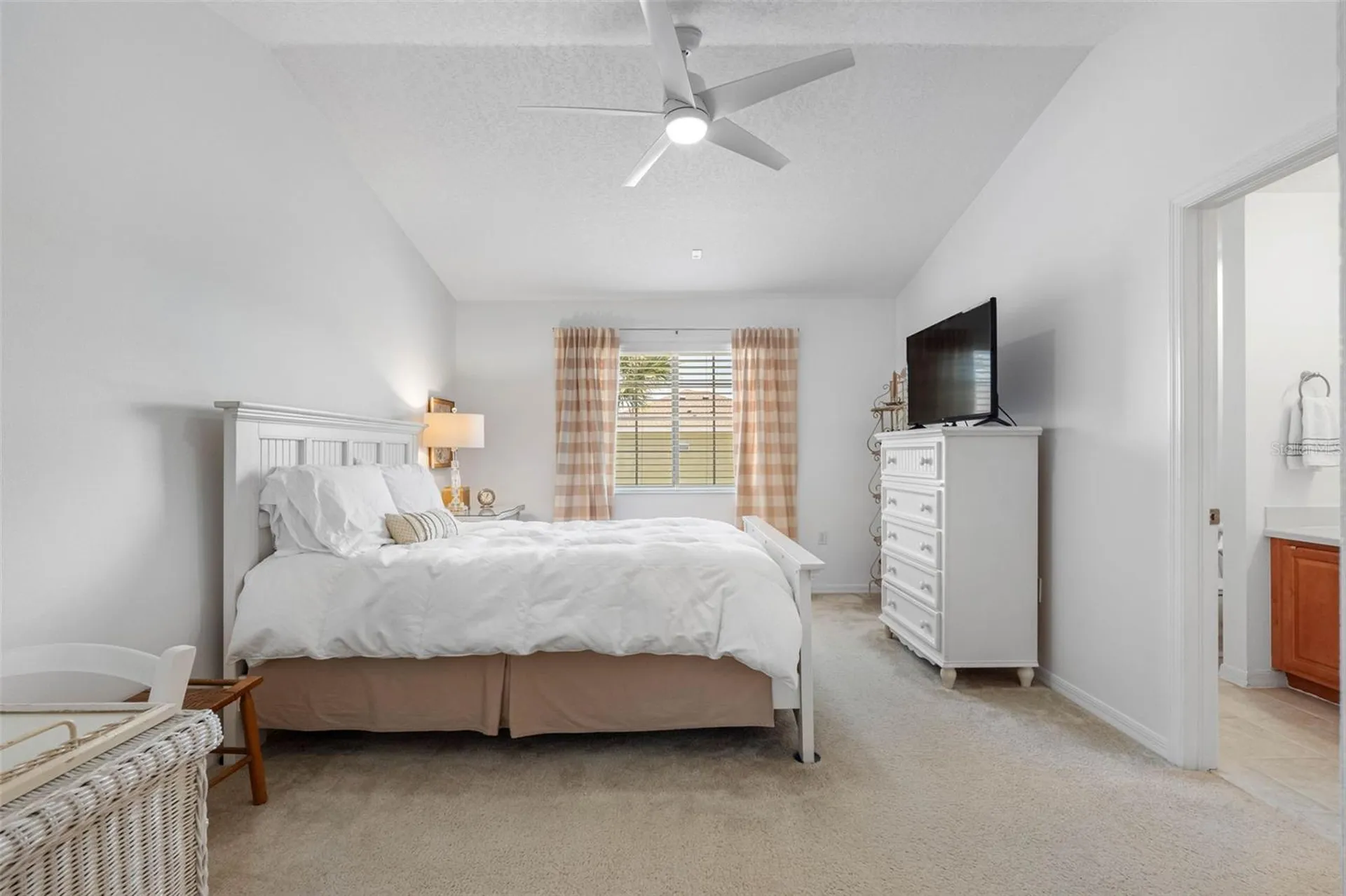 20470 Needletree Drive Tampa FL 33647