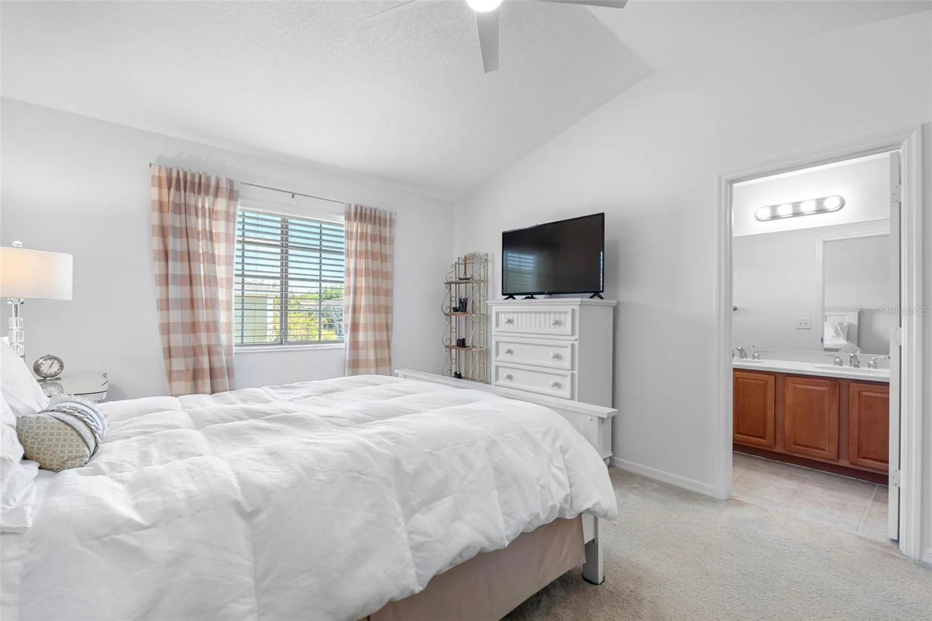 20470 Needletree Drive Tampa FL 33647