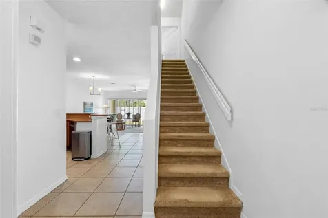 20470 Needletree Drive Tampa FL 33647