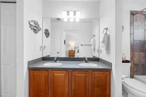 20470 Needletree Drive Tampa FL 33647