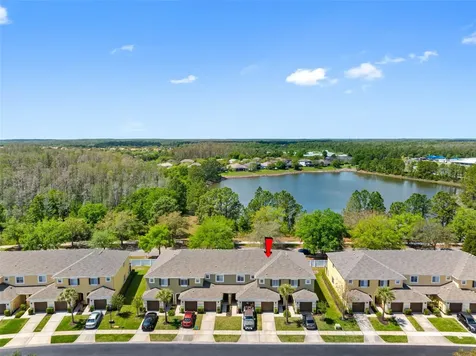 20470 Needletree Drive Tampa FL 33647