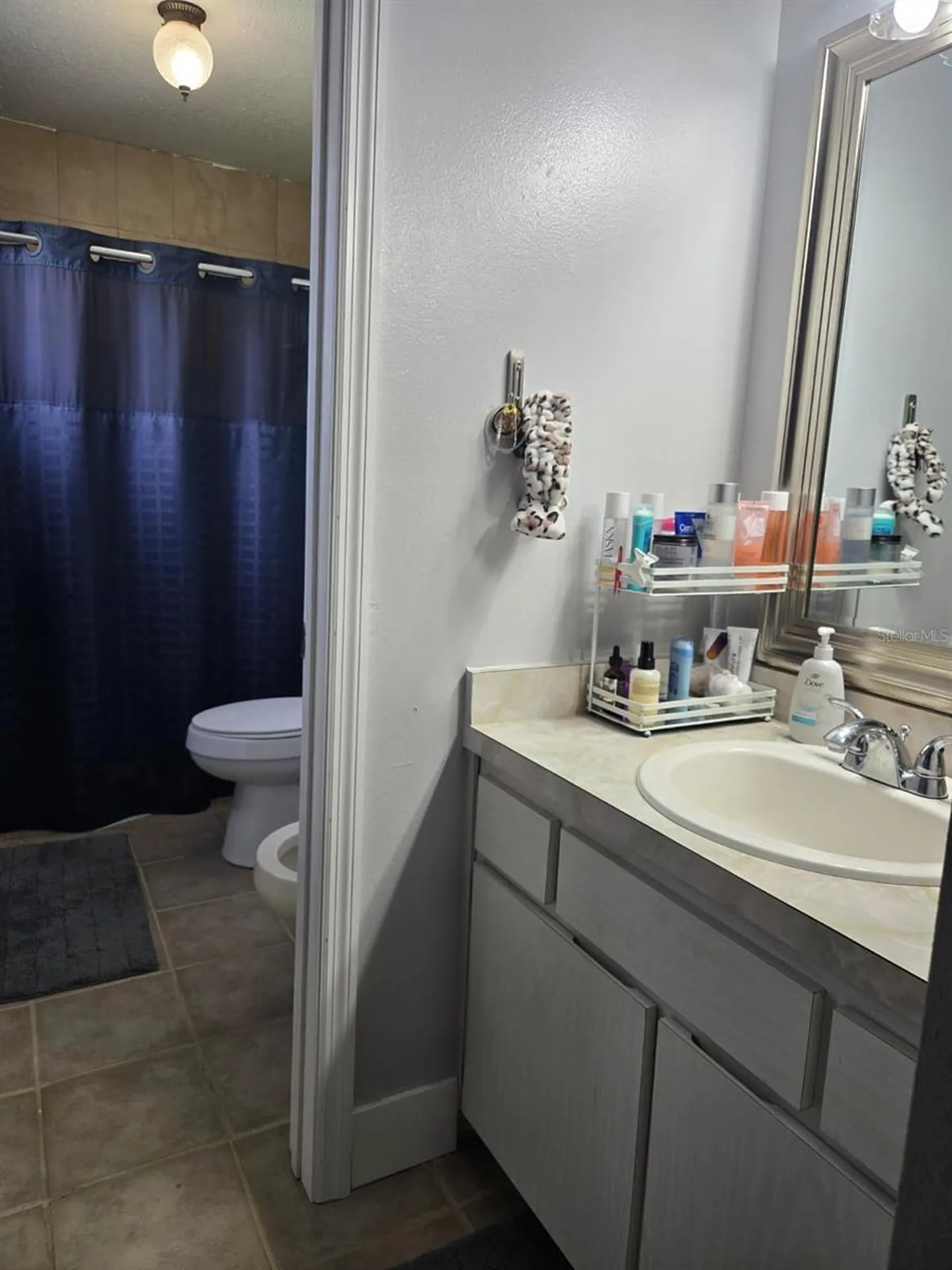 2961 Big Sky Boulevard Kissimmee FL 34744