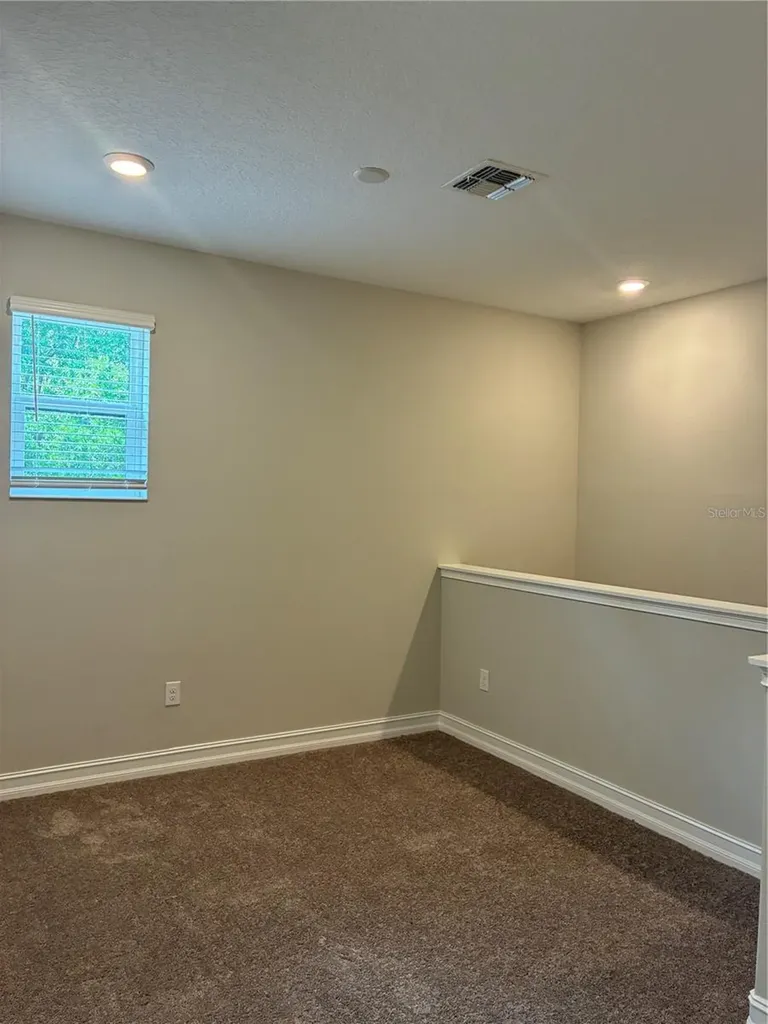 5134 San Martino Drive Wesley Chapel FL 33543