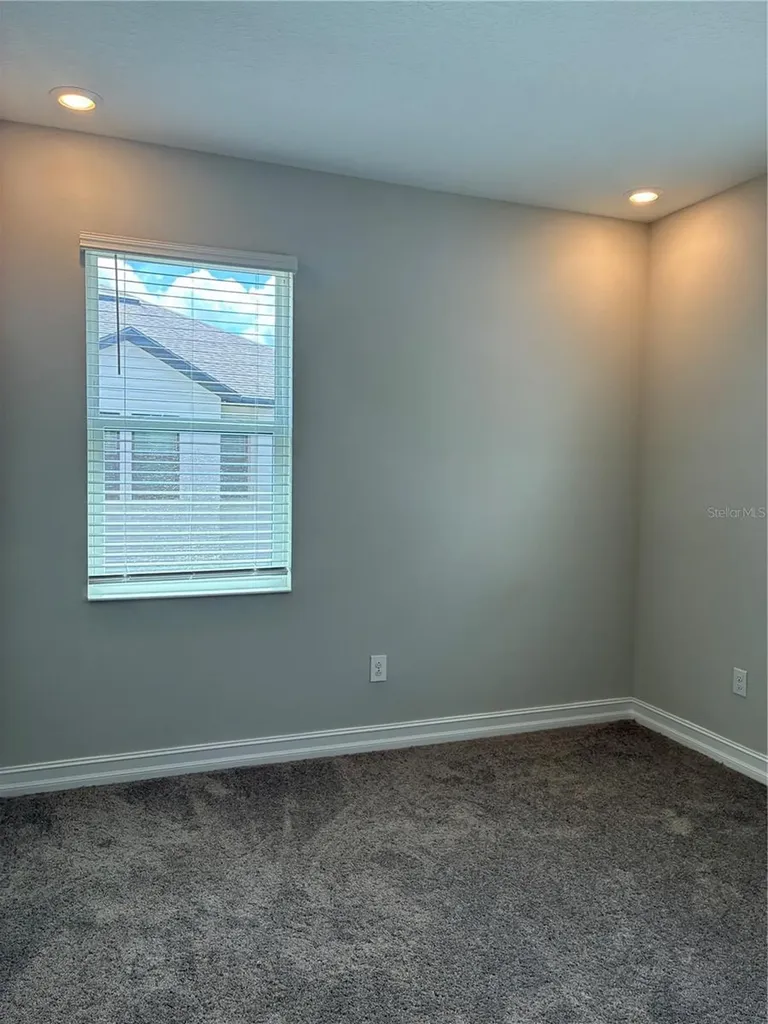 5134 San Martino Drive Wesley Chapel FL 33543
