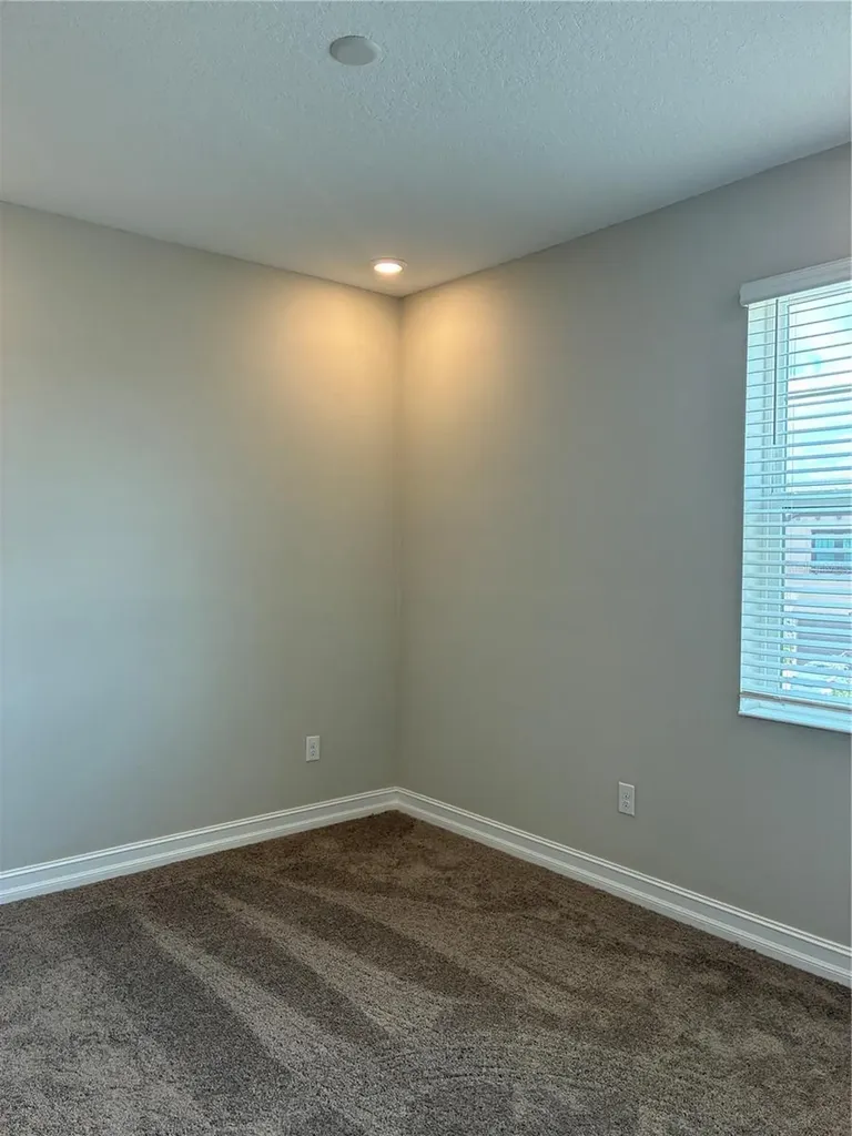 5134 San Martino Drive Wesley Chapel FL 33543