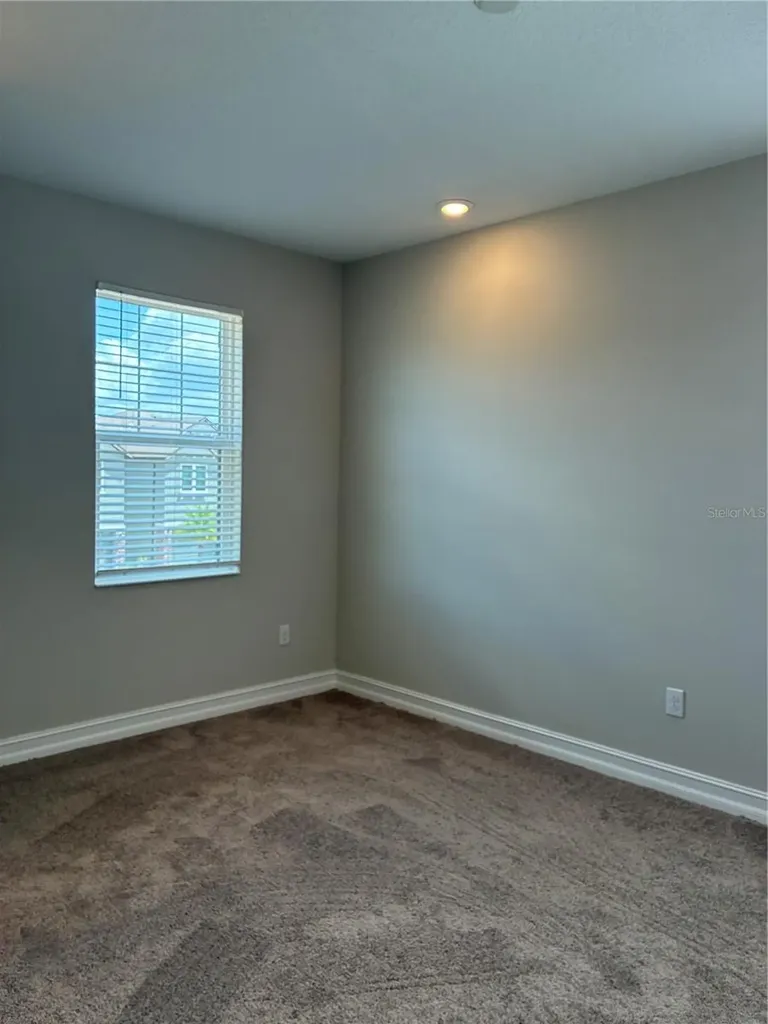 5134 San Martino Drive Wesley Chapel FL 33543