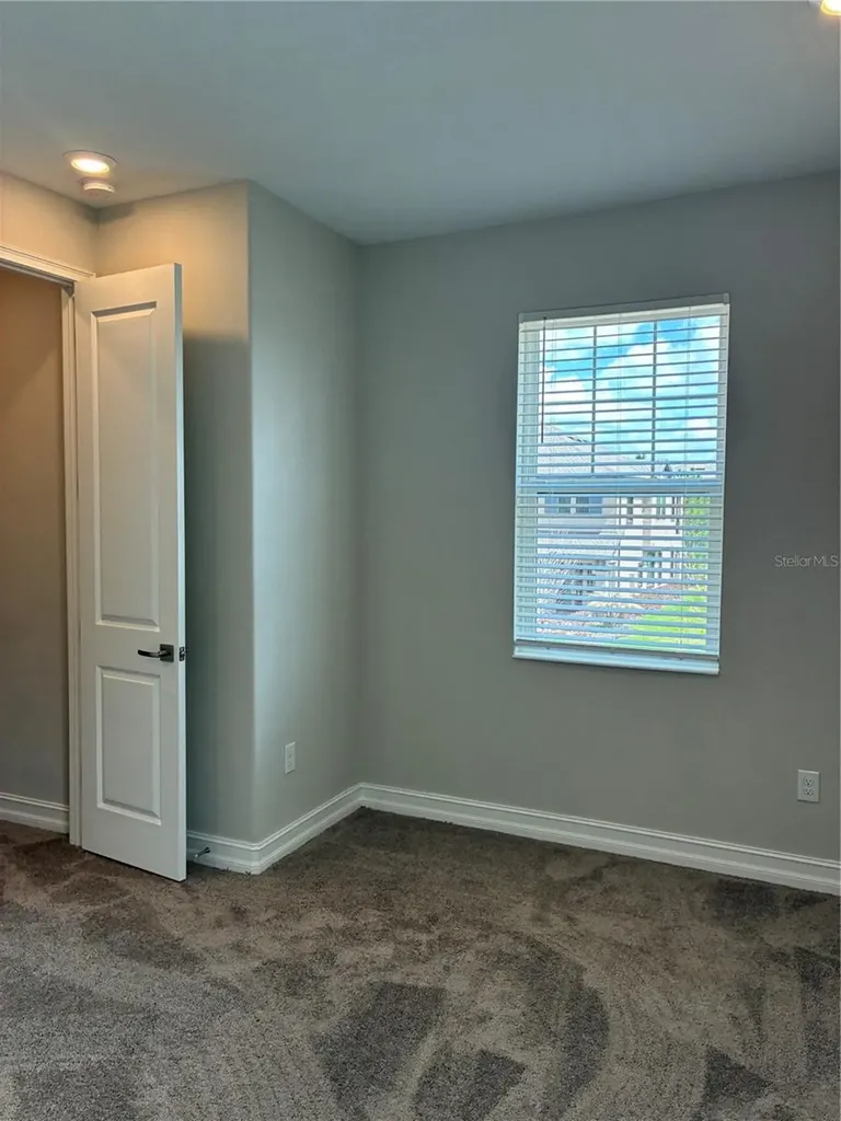 5134 San Martino Drive Wesley Chapel FL 33543