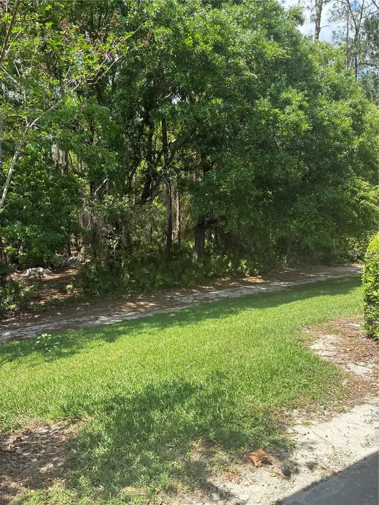 5134 San Martino Drive Wesley Chapel FL 33543