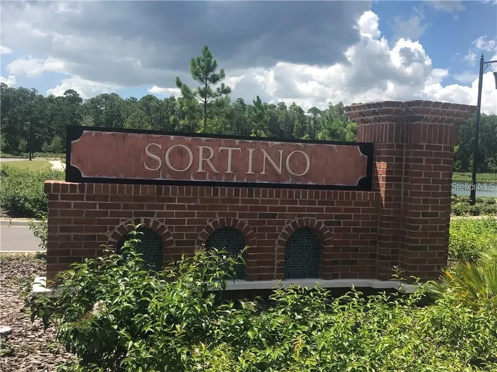 5134 San Martino Drive Wesley Chapel FL 33543