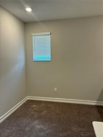 5134 San Martino Drive Wesley Chapel FL 33543