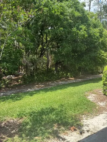 5134 San Martino Drive Wesley Chapel FL 33543