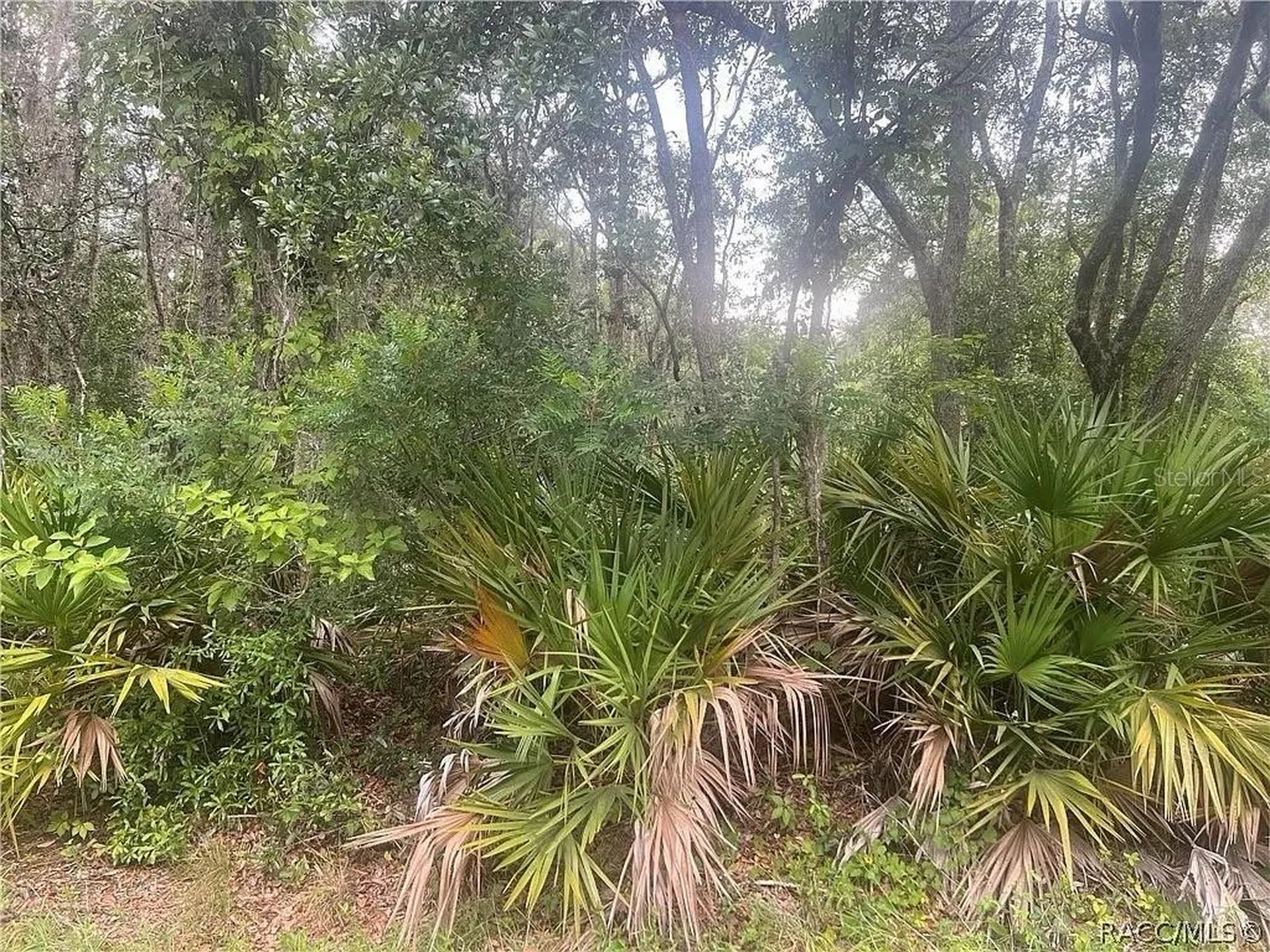 8488 N Ironwood Terrace Crystal River FL 34428