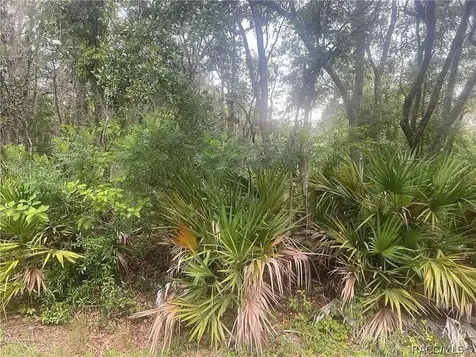 8488 N Ironwood Terrace Crystal River FL 34428