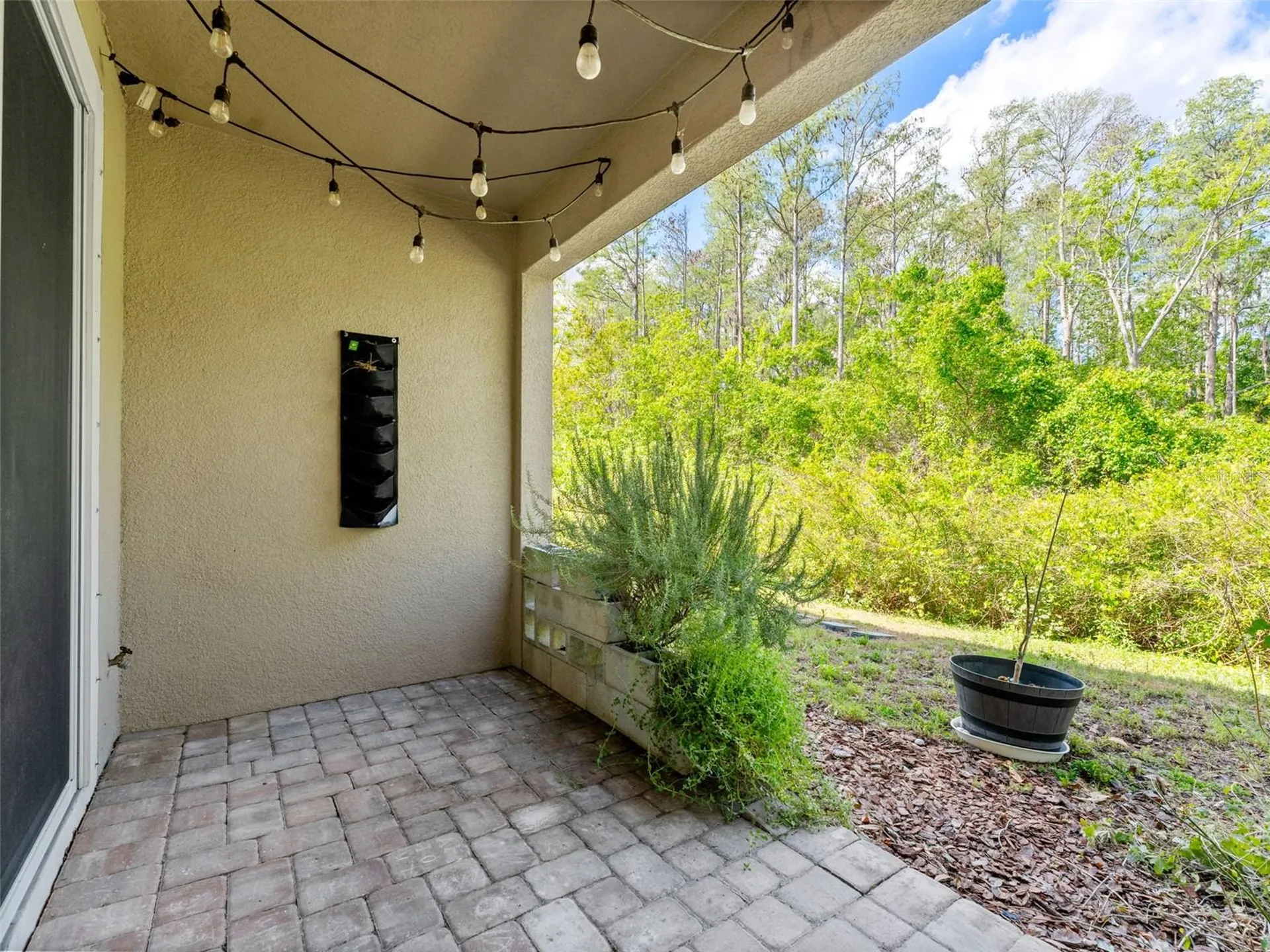 5845 Grand Sonata Tampa FL 33558