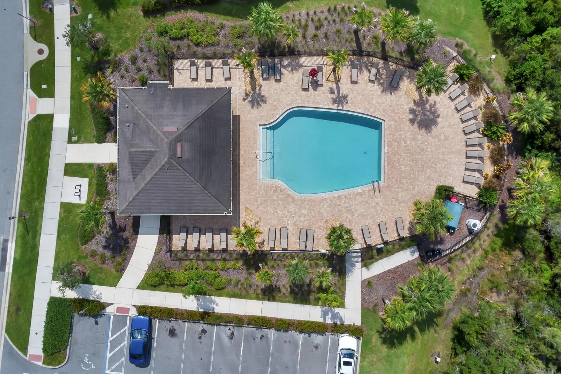 2169 Sedge Grass Way Orlando FL 32824