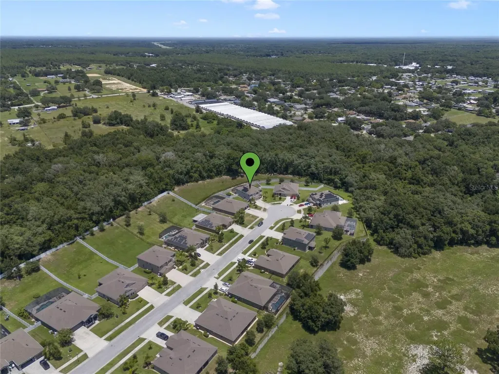 1509 Spinfisher Drive Apopka FL 32712