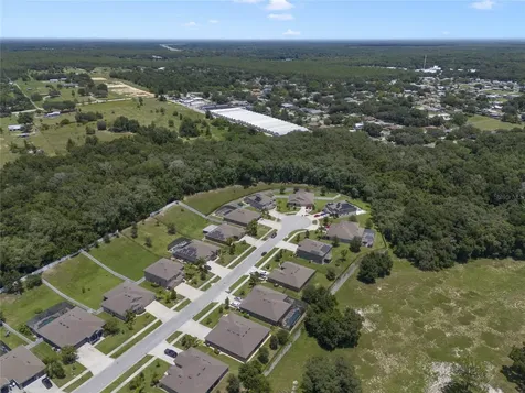 1509 Spinfisher Drive Apopka FL 32712