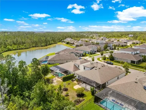 4374 Tuner Bend Land O Lakes FL 34638