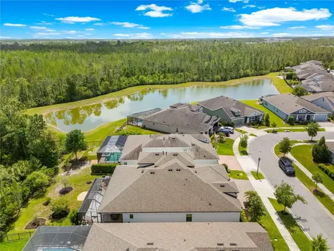 4374 Tuner Bend Land O Lakes FL 34638