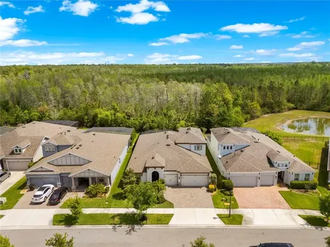 4374 Tuner Bend Land O Lakes FL 34638