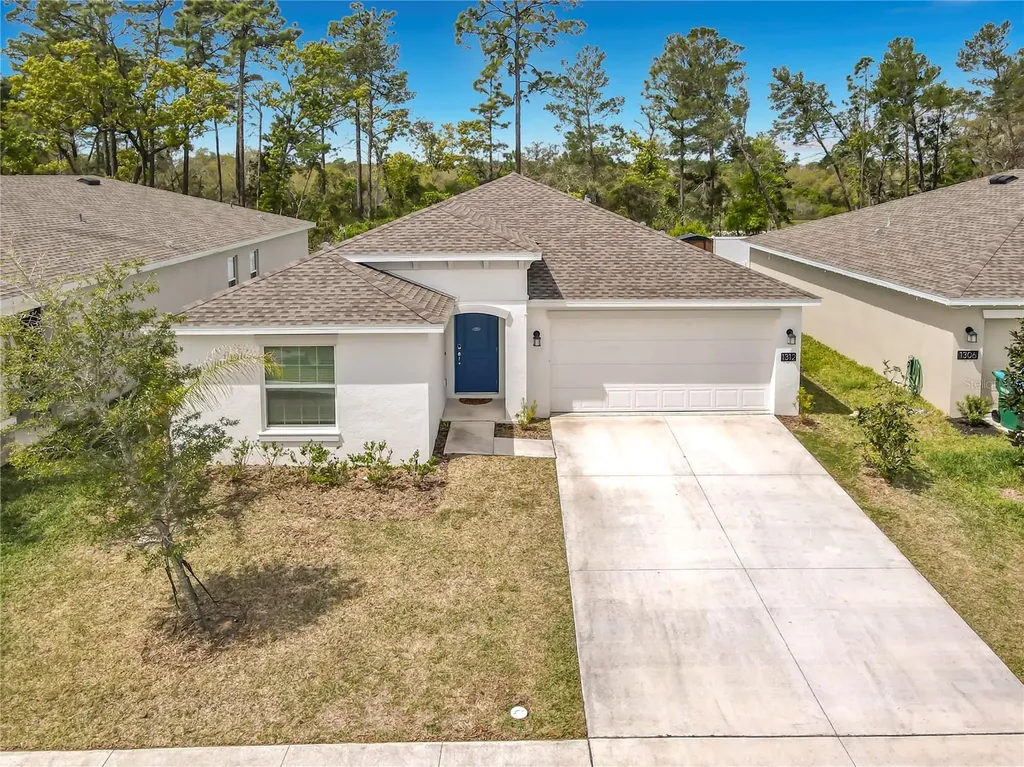 1312 Peach Creek Drive Osteen FL 32764