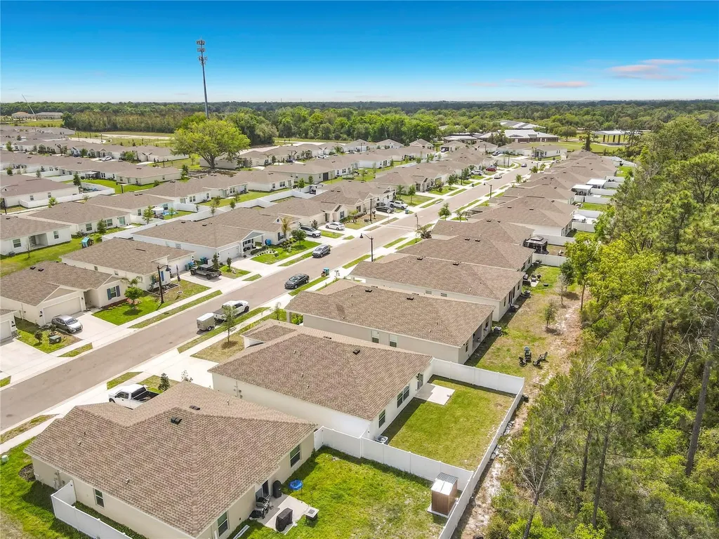 1312 Peach Creek Drive Osteen FL 32764