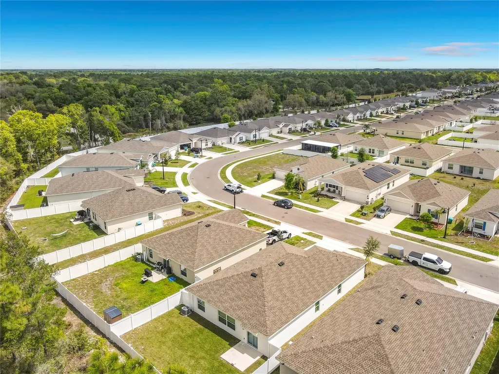1312 Peach Creek Drive Osteen FL 32764