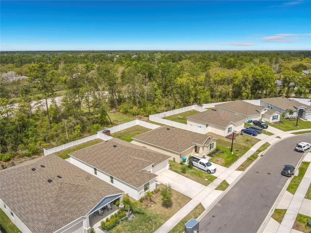 1312 Peach Creek Drive Osteen FL 32764