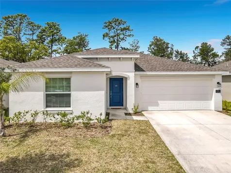 1312 Peach Creek Drive Osteen FL 32764