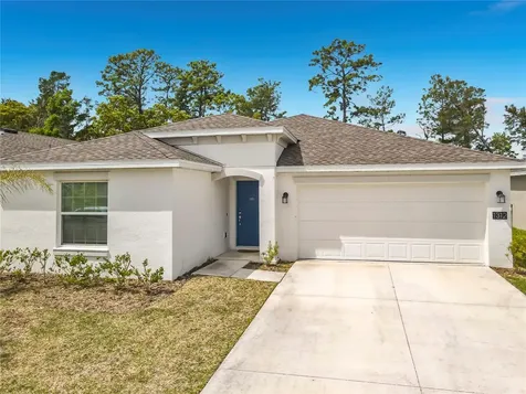 1312 Peach Creek Drive Osteen FL 32764
