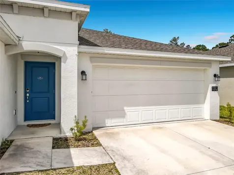 1312 Peach Creek Drive Osteen FL 32764