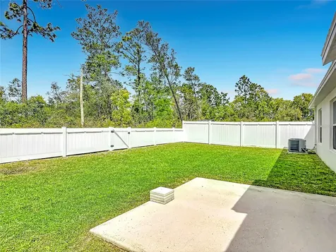 1312 Peach Creek Drive Osteen FL 32764