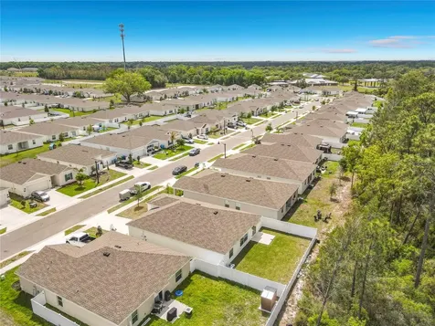1312 Peach Creek Drive Osteen FL 32764
