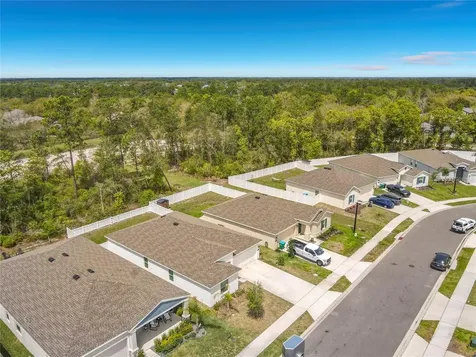 1312 Peach Creek Drive Osteen FL 32764