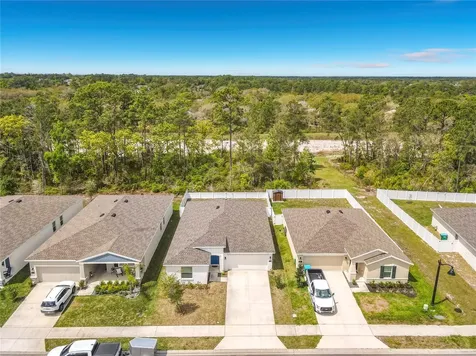 1312 Peach Creek Drive Osteen FL 32764