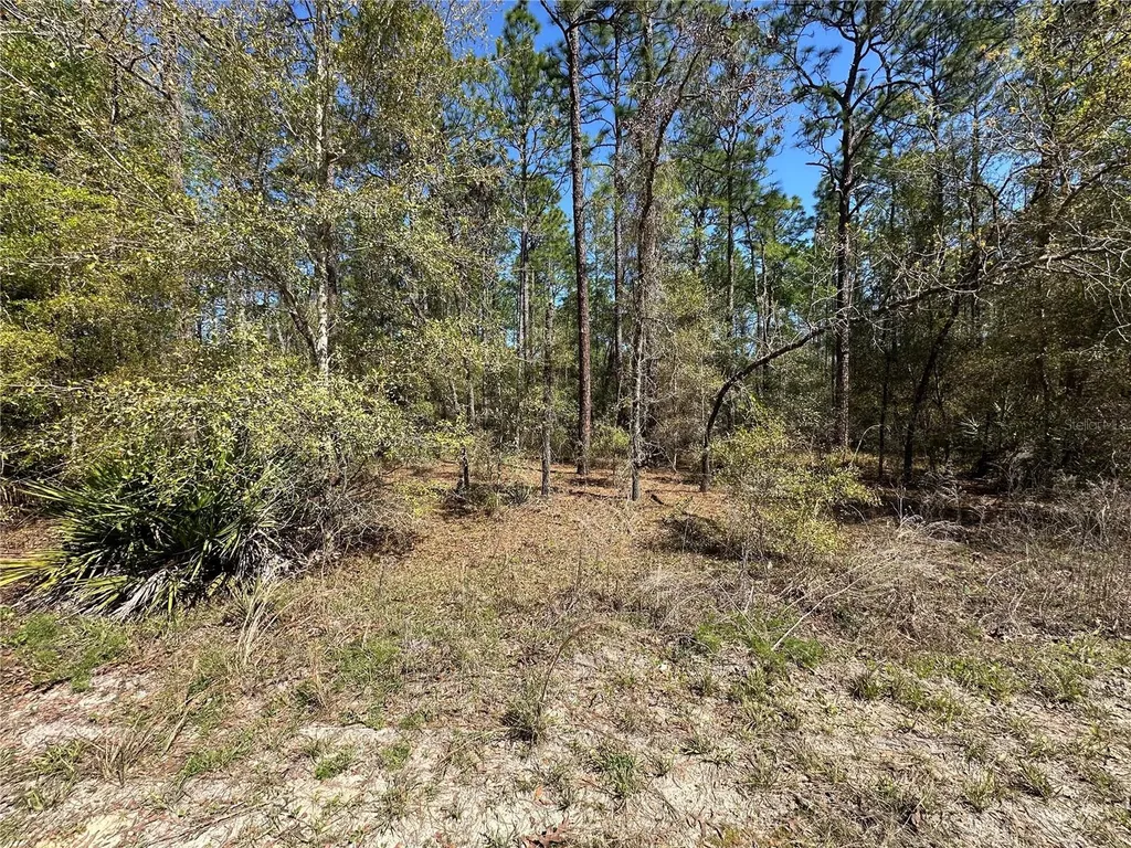 Tbd SW 29th Street Ocala FL 34473
